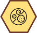 durable mold-resistant beehive