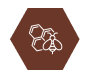 beehive for temperature control